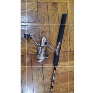 Fishing rod